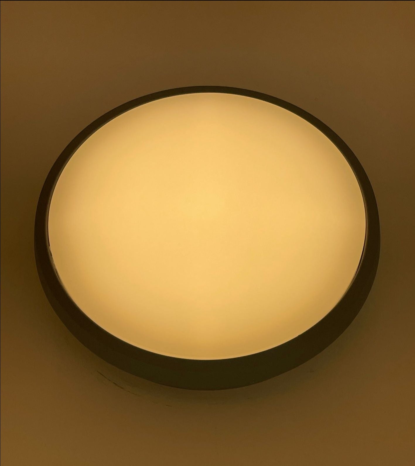 Round, dome shaped light that emits a soft and warm light